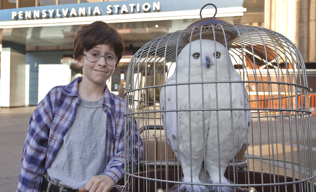 Garoto de 11 anos finge ser Harry Potter em estação de trem em NY
