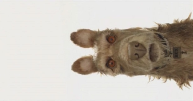 Novo filme de Wes Anderson será um stop-motion sobre cachorros