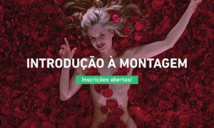 Introdução à Montagem